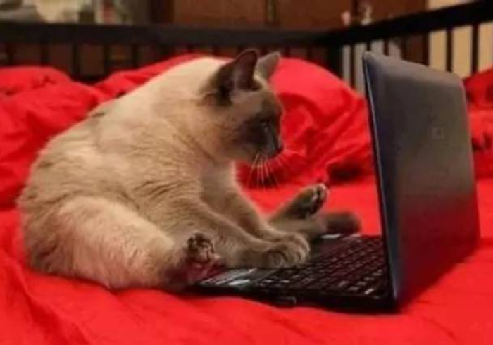 【 技 术 分 享 】 “ 功 夫 熊 猫 挂 多 少 钱 ” 真 的 有 挂