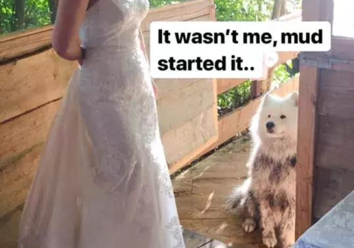 【 玩 家 必 备 技 术 】 “ 中 至 上 饶 麻 将 有 挂 没 ” ( 透 视 曝 光 猫 腻 )