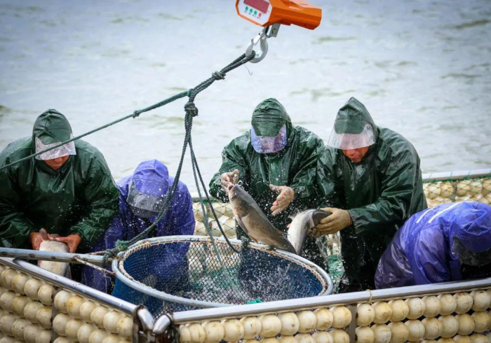 今日教程“鱼乐达人辅助器安全吗”-详细教程 今日教程“鱼乐达人辅助器安全吗”-详细教程