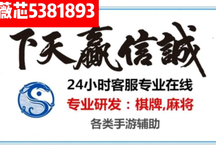 必 学 教 你 安 装 “ 蛮 籽 麻 将 重 庆 怎 么 看 出 有 挂 ( 辅 助 外 挂 + 教 程 )