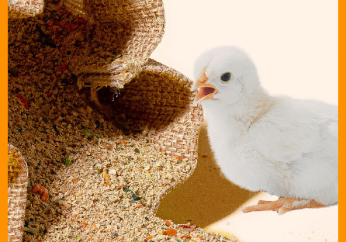 【 重 大 消 息 】 “ 葫 芦 娃 捉 鸡 有 什 么 办 法 一 直 赢 ” 详 细 外 挂 安 装 步 骤 【 重 大 消 息 】 “ 葫 芦 娃 捉 鸡 有 什 么 办 法 一 直 赢 ” 详 细 外 挂 安 装 步 骤