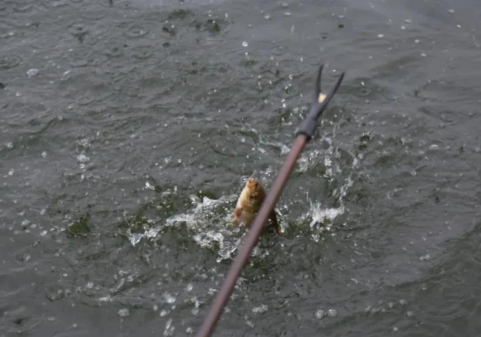 【 知 道 】 “ 乐 渔 有 挂 吗 有 的 ” 原 来 确 实 有 挂 ! 【 知 道 】 “ 乐 渔 有 挂 吗 有 的 ” 原 来 确 实 有 挂 !