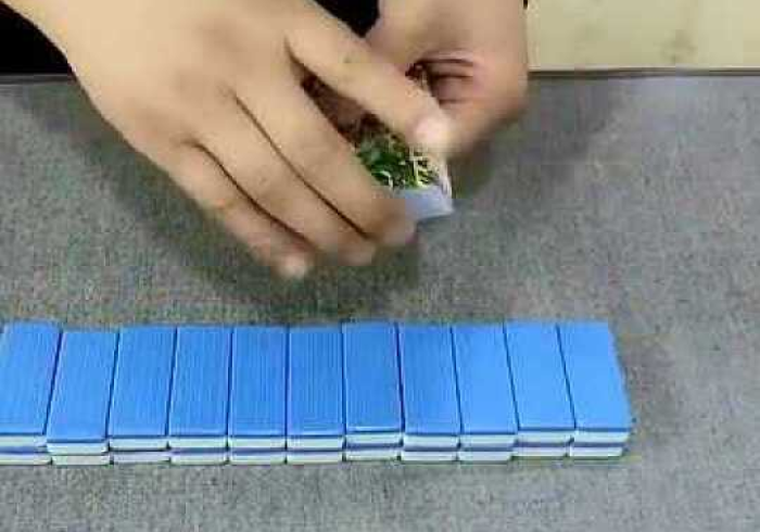 分 析 实 测 “ 浙 东 纸 牌 开 挂 方 法 ! 详 细 分 享 装 挂 步 骤 分 析 实 测 “ 浙 东 纸 牌 开 挂 方 法 ! 详 细 分 享 装 挂 步 骤