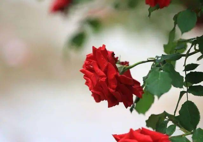 分析实测“飞鹰大厅真能买到挂吗”揭秘透视辅助万能挂 分析实测“飞鹰大厅真能买到挂吗”揭秘透视辅助万能挂