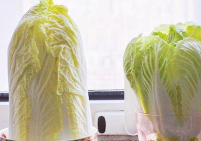 玩家必知“新皇豪牛牛金花房卡”获取房卡教程-哔哩哔哩 玩家必知“新皇豪牛牛金花房卡”获取房卡教程-哔哩哔哩