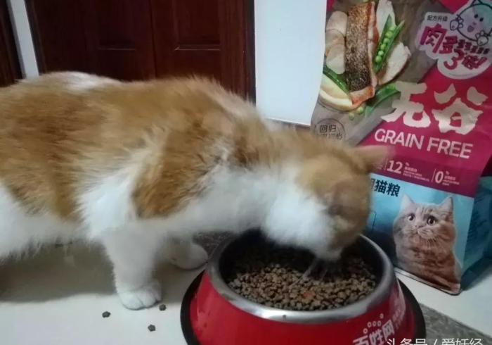 五 分 钟 了 解 欢 乐 谷 哪 里 有 挂 买 ” - 必 赢 神 器 安 装