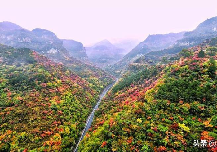 秒懂教程“新悠悠拼三张在哪里买房卡”获取房卡教程-哔哩哔哩