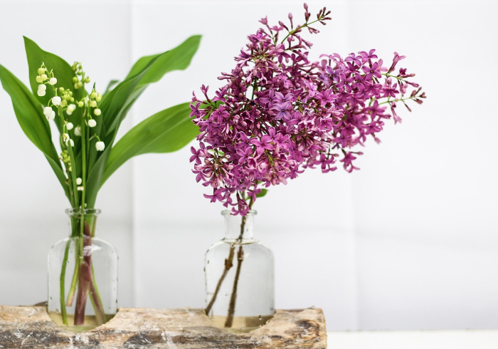 房卡全攻略“微信斗牛牛链接”详细房卡怎么购买教程