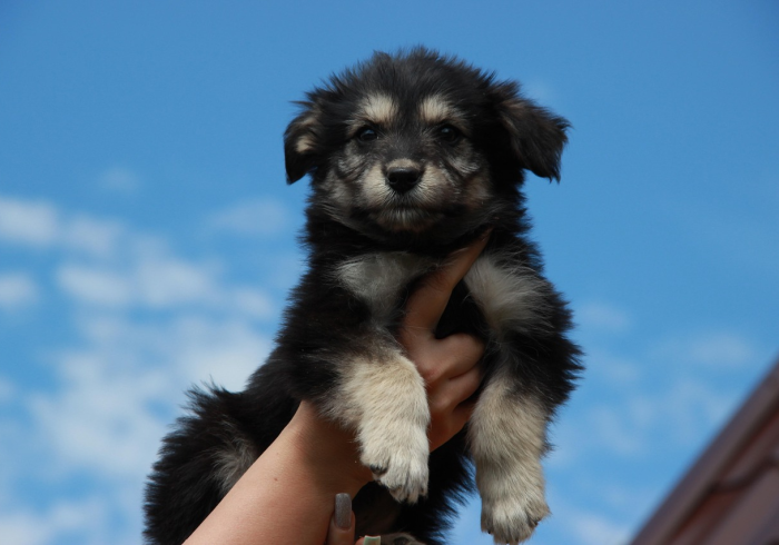 玩家必知“斗牛房卡牛牛房卡”详细房卡怎么购买教程 玩家必知“斗牛房卡牛牛房卡”详细房卡怎么购买教程