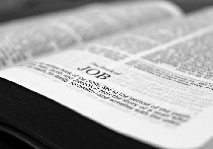 全攻略普及“新人皇牛牛如何购买房卡”房卡获取方式 全攻略普及“新人皇牛牛如何购买房卡”房卡获取方式