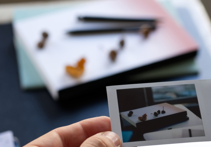 一分钟介绍使用“新道游牛牛透视免费”房卡怎么购买